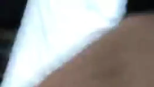 Asya köpek zekâ ev arkadaşı