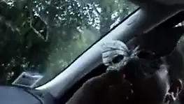 Arabada Coppia porcella