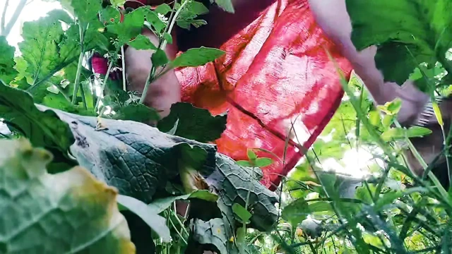 Nude sexy Village Desi hot Indian Bhabhi