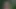 Yeni yarak kafesi
