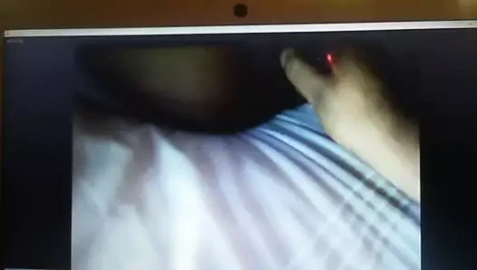 Koca eş yalama malay kedi