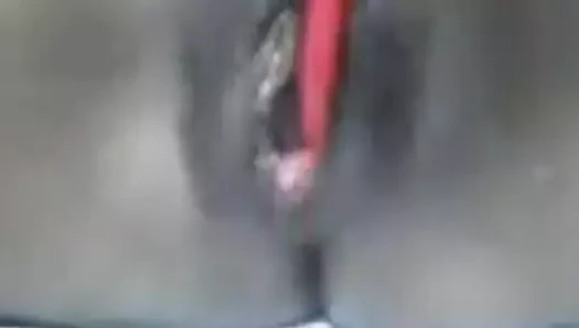 Amica vi piace?