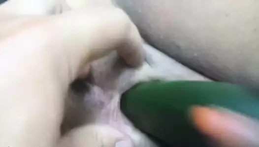 Süngerimsi bir kedi içinde salatalık.