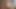 Sherly porno yıldızı olmak istiyor