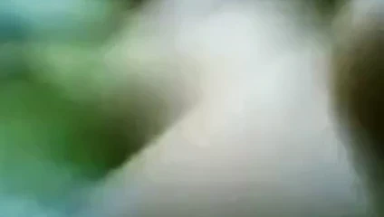 Hemşire hastanesi m'sia