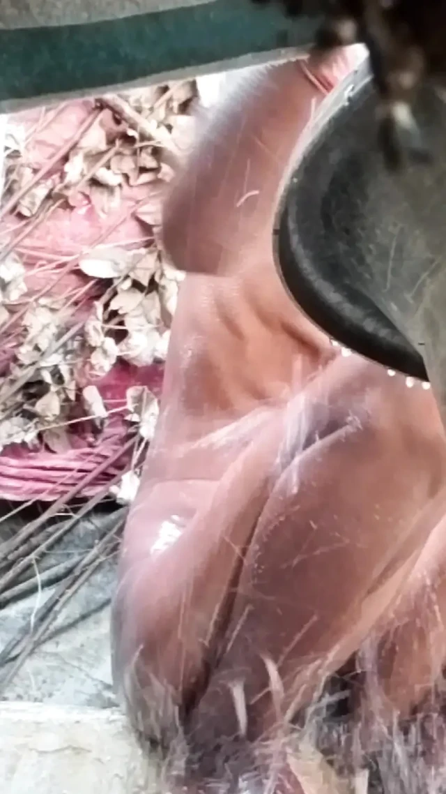 Banyo sumathi gizli arkadaş