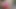 Village desi wife and husband tightpush real home couple