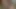 Latin Kız Sert Seks İstiyor - Ev Yapımı Porno Video