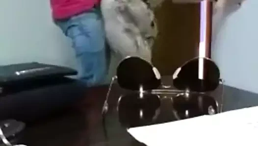 Sbb kısa test-fuck at ofiste