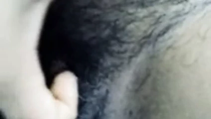 Dik sıcak kedi parmak