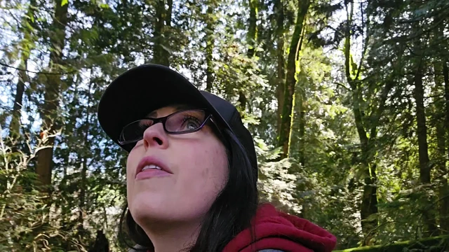 İşemek Zorundayım!