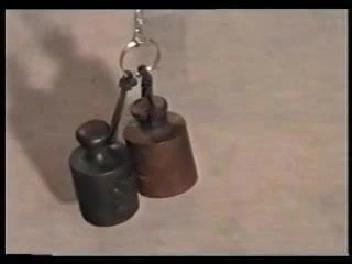 Xtremepain 11 kedi işkence