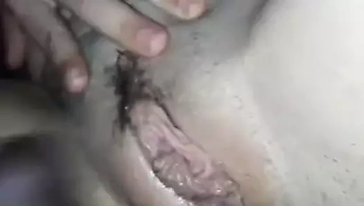 Genç beyaz kedi ve benim kara atım :-)