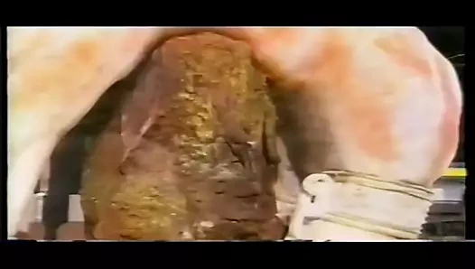 SENSUAL CARNIVAL VIRA 1998 GLB E