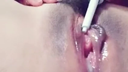 The harika dalido girer kedi ve bal gider