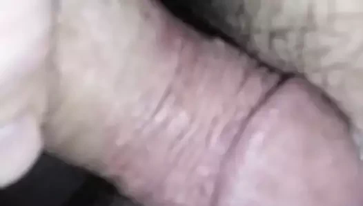 Softy