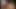 Kelly koz öğretmen ve hademe