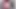 Bts pov seks ile cali fauna
