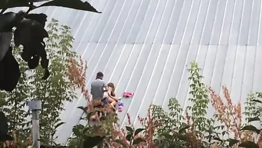 kamu çift penetrasyonu