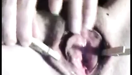 Klammern an der nassen Muschi