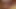 kinky amatör mastürbasyon onun zonklama horoz içinde seksi solo