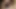 Büyük zenci yarağı bağımlılığı -% 100 amatör ve ev yapımı porno videoları. Orta yaşlı seksi kadınlar büyük zenci yarağı bağımlısı