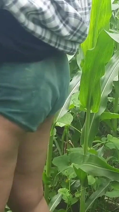 Незабываемый момент из "Невестки, которая режут корма на открытом поле, вдруг шурин ушел",