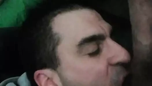 Sacha döl alıyor