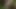 A voyeur watched me pee in the woods. I gave him a handjob and he came on my hairy pussy.