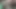 Çaresiz bir kamp derlemesi