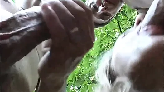 Federica çok edepsiz bir sarışın ve arkadaşlarının hepsi sürtük. Oral seks ve ağza boşalma ve bir sürü sert anal seks