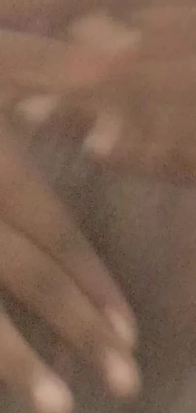 Шри-ланкийская шети, домохозяйка с черной пухлой киской