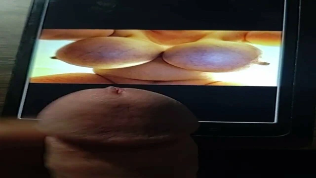 Büyük baştankara askılar haraç