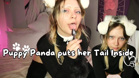 Puppy Panda kuyruğunu içine sokuyor
