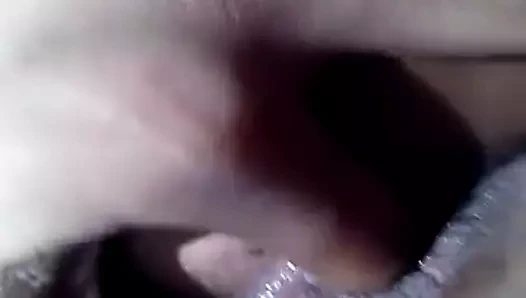 Carolina yarasası. hızlı parmak onun önünü