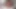 Curly Brunette Masturbates Asshole and Pussy With Sex Toy - Webcam