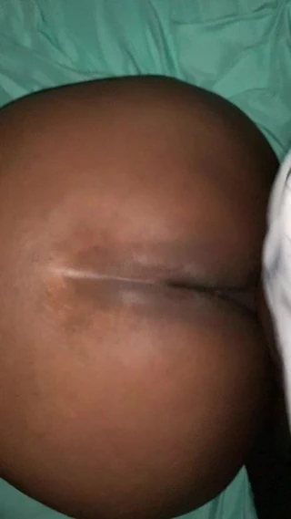 Olgun büyük ganimet country gilf köpek stil 3