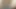 Büyük baştankara kıllı eş çalış ile kedi üzerinde facetime
