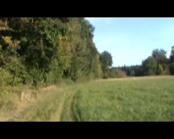 Neuer Freund fickt sie unter freiem Himmel und im Hochsitz