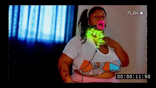 Kolombiyalı kedi balığı sub pembe snapper