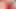 Olgun orta yaşlı seksi kadın ve eş değiştiren evli kadın küçük bir yarağı paylaşıyor
