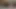 Genç kız esmer amında dildo seviyor sonra güzel sert bir yarak