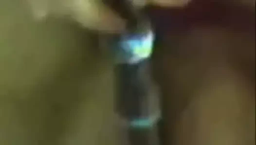 Web kamerası ile büyük baştankara mexican ve beyaz kedi de