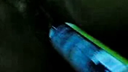 Malay - Malezya rekorlar kitabı