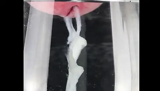 Suyun şekli, doğal yaşam alanında sperm.