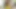 Seksi latin Alina Belle çok seksi, özellikle ben boşalana kadar büyük yarağımda yukarı ve aşağı zıplarken gözlerime bakarken