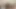 Ateşli minx yasaklı grup seks için yalvarıyor - porno!