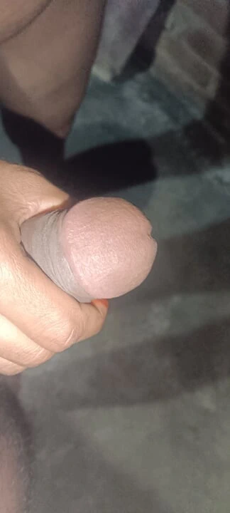 Köylü desi, rangila rasbhari melancap