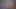 yavru kedi gelinlik fotoğraf çekimi