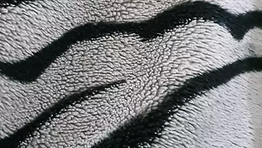 Muslim kız yakalandı emme çük üzerinde kamera tarafından oda arkadaşı